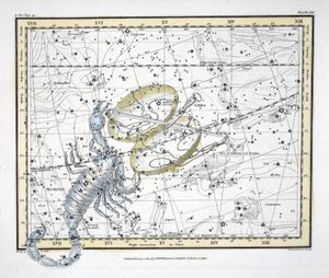 The Constellations (اللوحة XIX) الميزان والعقرب ، من "أطلس سماوي" تأليف ألكسندر جاميسون ، حانة. لندن 1822 (النقش اليدوي) بواسطة ألكسندر جاميسون