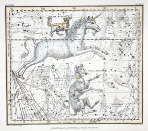 الأبراج (اللوحة الخامسة والعشرون) Canis Major و Canis Minor و Monoceros و Argo Navis و l'Atelier de l'imprimteur و Pyxis Nautica و Triangulum Australe من "A Celestial Atlas" بقلم ألكسندر جاميسون ، حانة. لندن 1822 (نقش ملون يدوي) بواسطة ألكسندر جاميسون