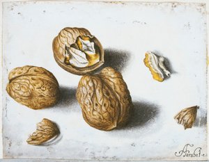 ألكسندر مارشال (RCIN 924426-2)