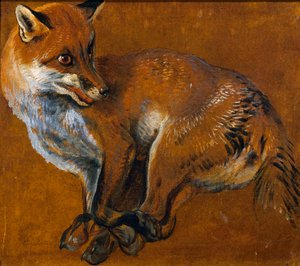 Fox with legs tied, by Alexandre-Francois Desportes (1661-1743), France بواسطة الكسندر فرانسوا ديسبورتس
