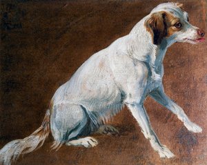 French Spaniel ancestor, by Alexandre-Francois Desportes (1661-1743), France بواسطة الكسندر فرانسوا ديسبورتس