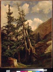 التنوب في الجبال بواسطة كالام ، الكسندر (1810-1864). زيت على قماش ، الأبعاد: ٦٨،٥ × ٥٣. State A. متحف بوشكين للفنون الجميلة ، موسكو بواسطة الكسندر كالامي