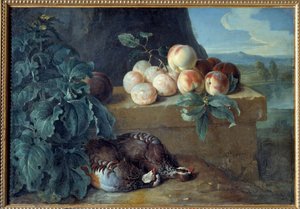 الخوخ والحجل. لوحة فرانسوا ديسبورتس (1661-1743) بواسطة الكسندر فرانسوا ديسبورتس