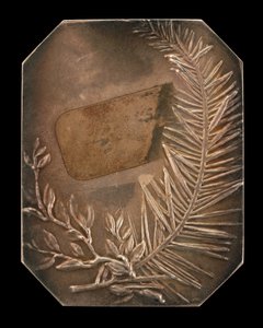 فروع متشابكة من لوريل وإيفرجرين [عكسي] ، 1897.