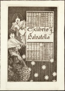 إكس ليبريس إف سلفاتيلا بواسطة ألكسندر دي ريكير