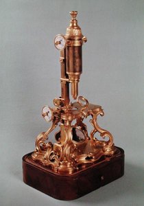 مجهر ينتمي إلى لويس أوغست دي ألبرت ديلي (1678-1744) دوق شولن ، حوالي 1751 (برونز وخشب مذهبان) بواسطة الكسيس ماجني