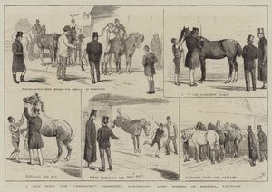 يوم مع لجنة Remount ، شراء خيول الجيش في Redhill ، Edgware بواسطة ألفريد تشانتري كوربولد
