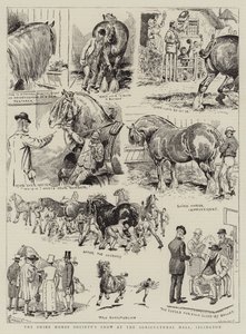 عرض جمعية Shire Horse في القاعة الزراعية ، Islington بواسطة ألفريد تشانتري كوربولد
