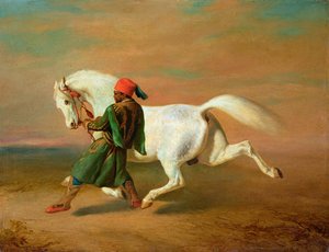 صورة غير معروفة