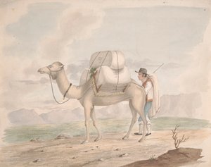 الجمل المحملة