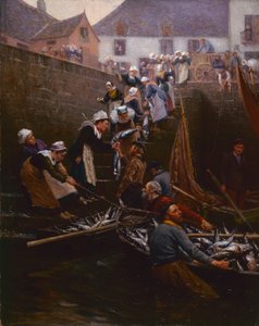 هبوط التونة في Concarneau