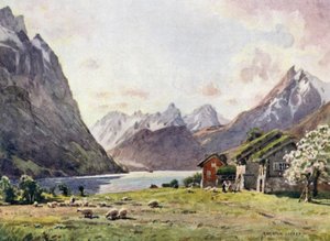 Hjorund Fjord ، Goose بواسطة ألفريد هيتون كوبر