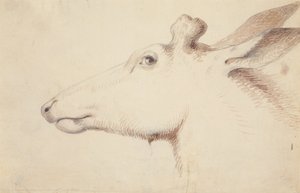 إلك. ج 1837 (رسم) بواسطة ألفريد جاكوب ميلر
