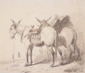 معدات البغل ، حوالي 1837 (قلم رصاص وغسل على ورق) بواسطة ألفريد جاكوب ميلر