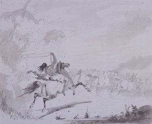 رمي اللاسو ، حوالي عام 1837 (قلم وحبر مع طلاء رمادي على بطاقة رمادية) بواسطة ألفريد جاكوب ميلر