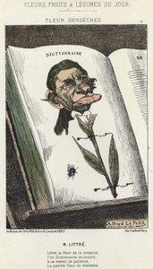 زهرة Déséchée: رسم كاريكاتوري على Littré - ill. من 01/02/1871 في "زهور اليوم وفاكهة وخضروات" بواسطة ألفريد لو بيتيت