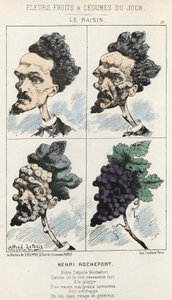 Le Raisin: رسم كاريكاتوري على Henri Rochefort - مريض. من 09/02/1871 في "زهور اليوم وفاكهة وخضار" بواسطة ألفريد لو بيتيت