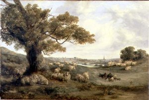 منظر لنورويتش