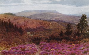 التراجع عن Hindhead بواسطة ألفريد روبرت كوينتون