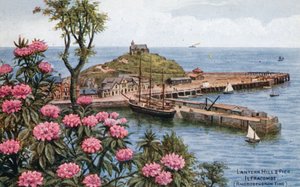 Lantern Hill and Pier ، Ilfracombe ، (Rhododendron Time) بواسطة ألفريد روبرت كوينتون