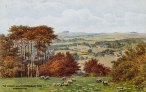 The Downs with Chantonbury Ring، Nr Worthing بواسطة ألفريد روبرت كوينتون