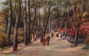 The Pine Walk ، بورنموث بواسطة ألفريد روبرت كوينتون
