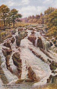 شلالات السنونو، بيتوس-واي-كويد (طباعة حجرية ملونة) بواسطة ألفريد روبرت كوينتون