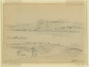 قدم. برادي بواسطة ألفريد رودولف واود