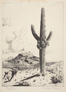 الحارس (ساهوارو) (الحفر والرسومات المائية)