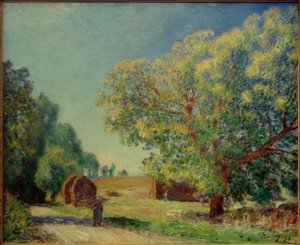 حول الغابة بواسطة الفريد سيسلي