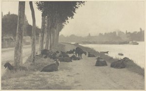 على نهر السين - بالقرب من باريس ، 1894 ، طُبع عام 1897. بواسطة ألفريد ستيجليتز