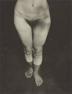 ريبيكا سالسبري ستراند ، 1922. بواسطة ألفريد ستيجليتز