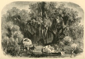 "The Moss-Gatherers" ، 1872.
