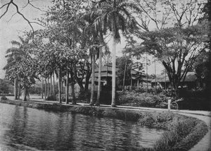 كاندي - ركن خلاب للبحيرة ، c1890 ، 1910 بواسطة لوحة ألفريد ويليام أماندوس