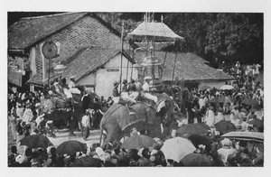 كاندي بيرايرا. - موكب الفيلة التي يحملها رؤساء كانديان ، c1890 ، 1910 بواسطة لوحة ألفريد ويليام أماندوس