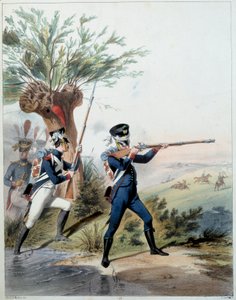 الجيش النابليوني: الحرس الإمبراطوري. نقش ألفريد دي ماربوت (القرن التاسع عشر) 1809. مالميزون ، متحف دو شاتو. بواسطة ألفريد دي (بعد) ماربوت