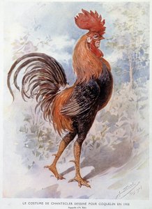 زي الديك من Chantecler المصمم لـ Constant Poppy في عام 1908 ، قطعة شعرية من إدموند روستاند بواسطة ألفريدو إديل