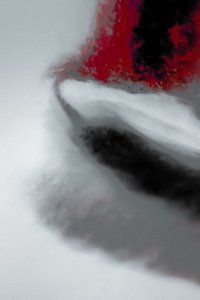 مهمة، من سلسلة مبشرة، 2019 (صورة فوتوغرافية)