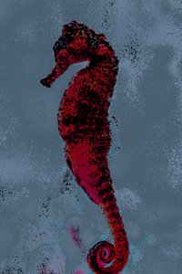 فرس البحر، 2018 (صورة فوتوغرافية معاد رسمها باليد)