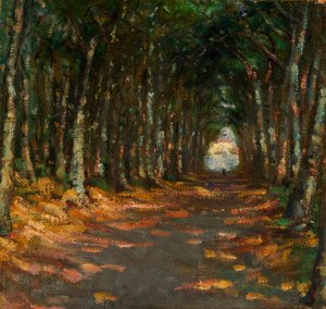 زقاق في الحديقة ، كاليفورنيا. 1906. بواسطة أليس بايك بارني