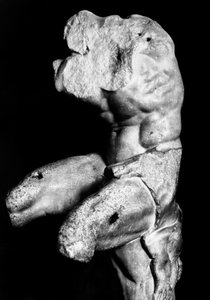 جذع بلفيدير بواسطة Apollonios of Nestor ، c1890 (b / w photo) بواسطة فراتيلي اليناري