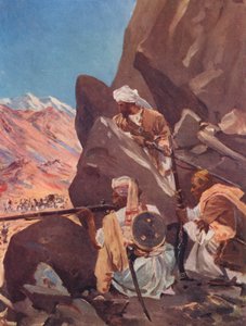  بواسطة ألان ستيوارت