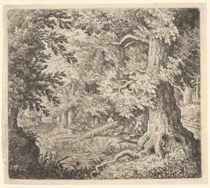 The Brook in the Wood ، القرن السابع عشر. بواسطة ألارت فان إيفردنغن