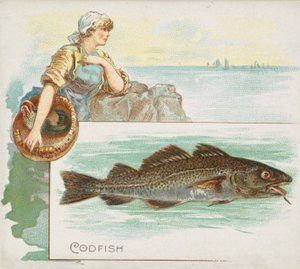 سمك القد ، من Fish من سلسلة American Waters N39 لـ Allen & Ginter Cigarettes ، 1889.