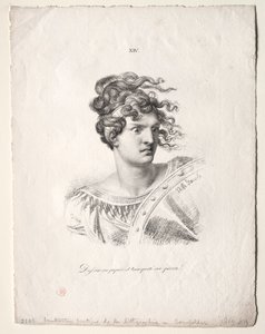 Lart de la lithographie: Head of an Amazon. بواسطة الويس سينيفيلدر