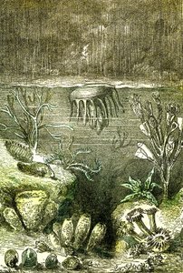 ما قبل التاريخ-Terre et Mers: بداية العصر السيلوري (J. Rengade. رسم بواسطة Demarle. 1885) بواسطة ألفونس ديمارلي