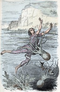 مجلس علم الحيوان رخويات رأسيات الأرجل ، يستحم بواسطة أخطبوط كبير و Musquee eledone (صفيحة علم الحيوان: أخطبوط سباح استولى عليه أخطبوط) نقش من "" L