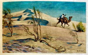 رسم توضيحي لـ"دينيه" من "السراب" مشاهد من الحياة العربية. 1906. رسوم إيتيان دينيه من كتاب "السراب، مشاهد من الحياة العربية" مع تعليق لسلمان بن إبراهيم بامر. وُلد نصر الدين دينيه باسم ألفونس-إتيان دينيه؛ (1861-1929) كان فرين