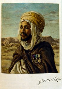 رسم توضيحي لـ"دينيه" من "السراب" مشاهد من الحياة العربية. 1906. رسوم إيتيان دينيه من كتاب "السراب، مشاهد من الحياة العربية" مع تعليق لسلمان بن إبراهيم بامر. وُلد نصر الدين دينيه باسم ألفونس-إتيان دينيه؛ (1861-1929) كان فرين بواسطة ألفونس إتيان دينيه