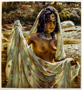 رسم بياني لدينيه من مشاهد "ميراج" للحياة العربية. 1906. ميراج ، مشهد دي لا في العرب رسمها إيتيان دينيه مع تعليق لسيلمان بن إبراهيم بامر. ولد نصر الدين دينيه باسم ألفونس إتيان دينيه ؛ (1861-1929) كان فرنسياً من الشرق